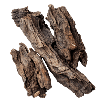 Agarwood