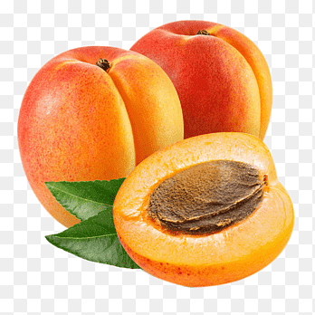Apricot