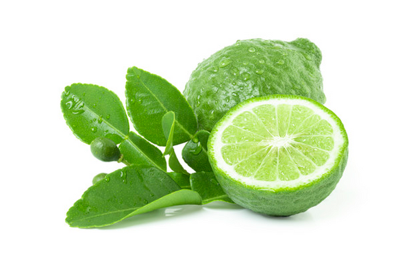 Bergamot