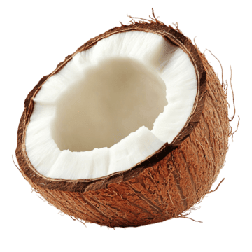 Coconut