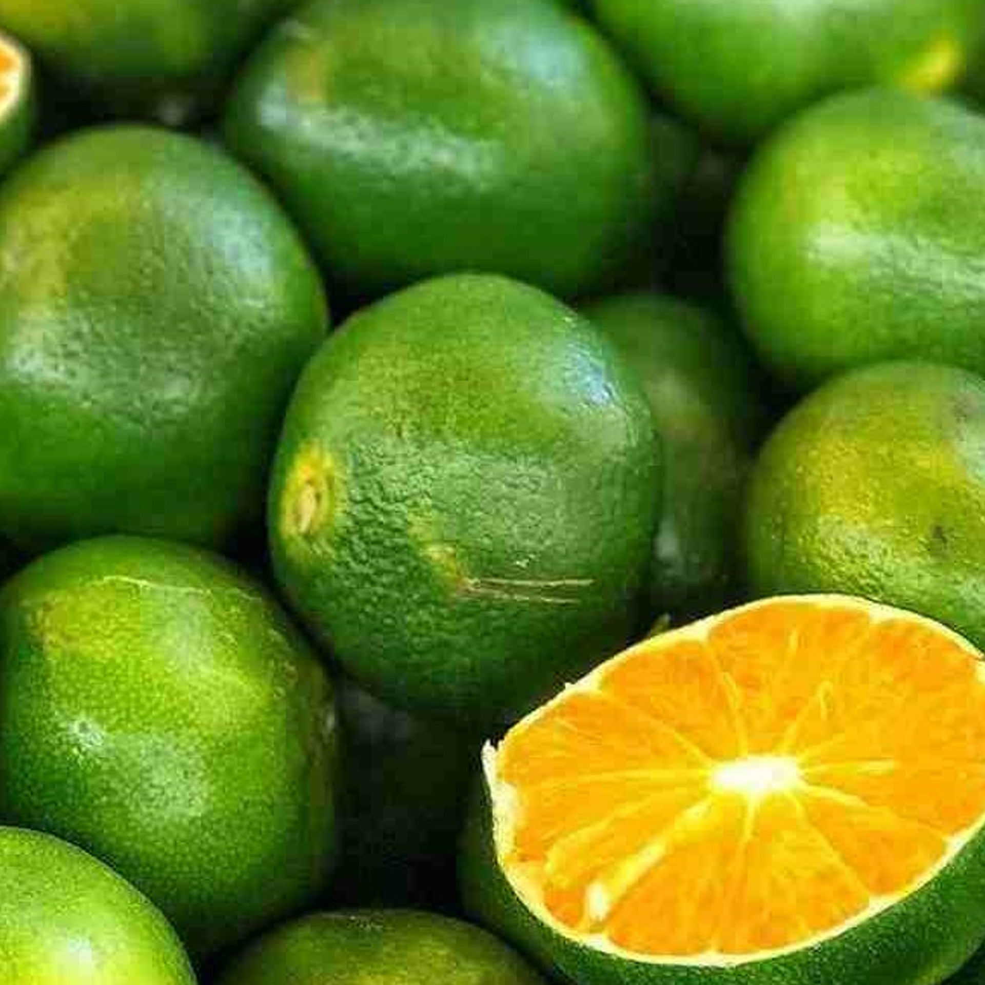 Green Mandarin
