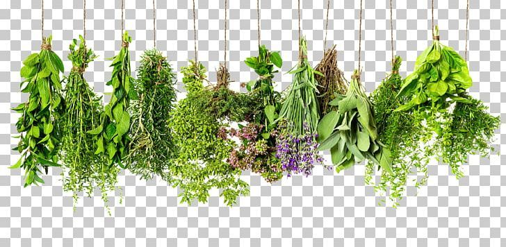 Fresh Herbs