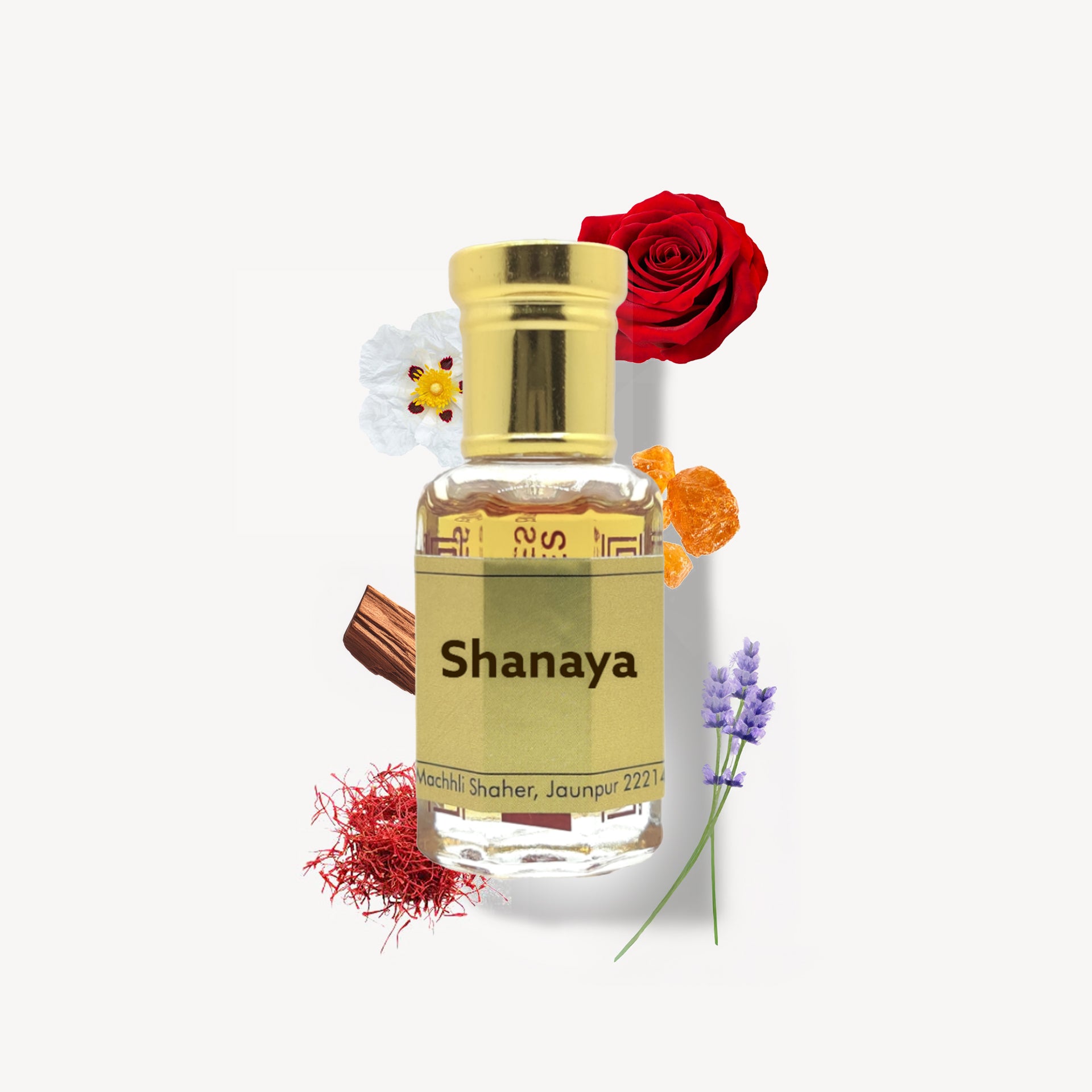 Shanaya Attar