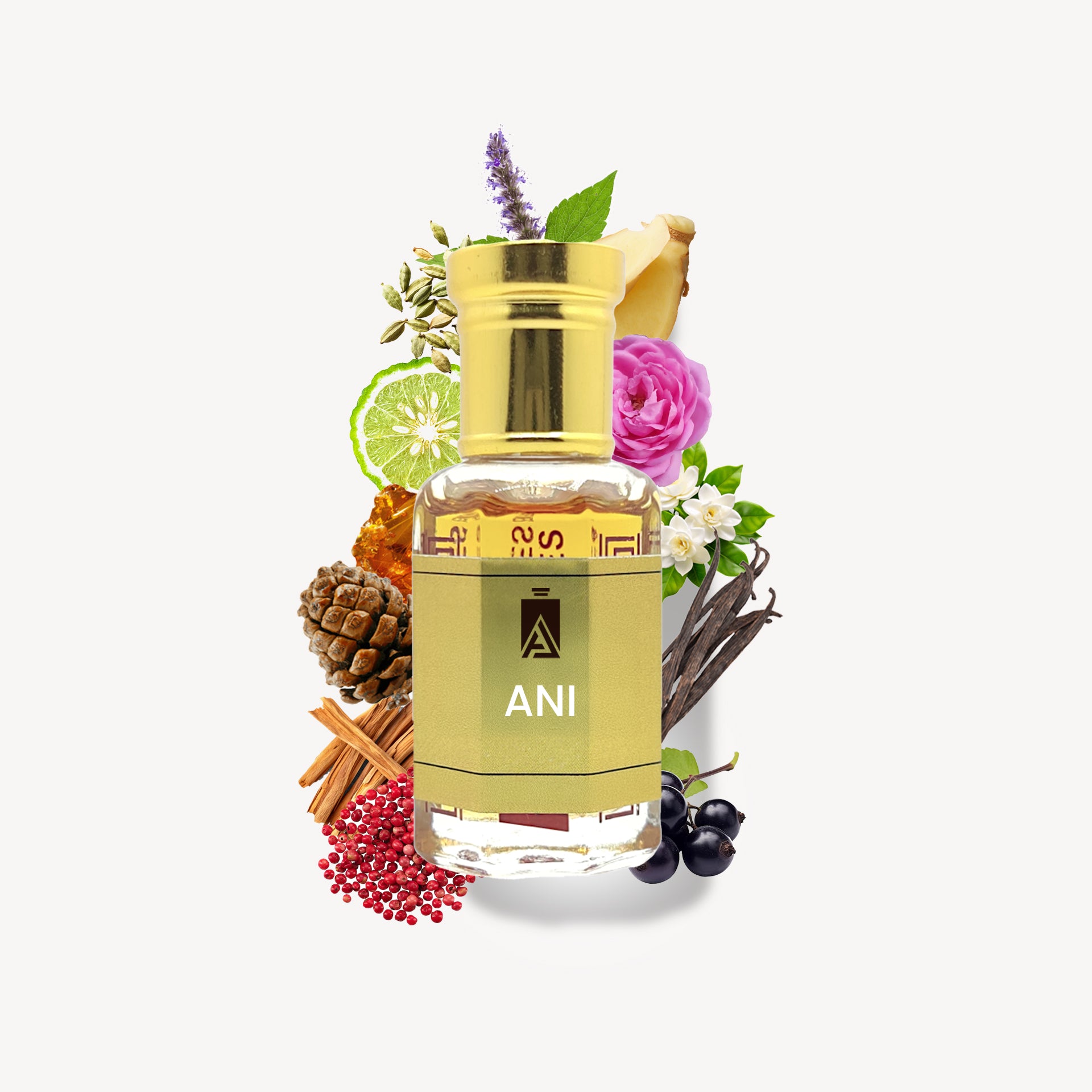 Inspired By ANI Attar