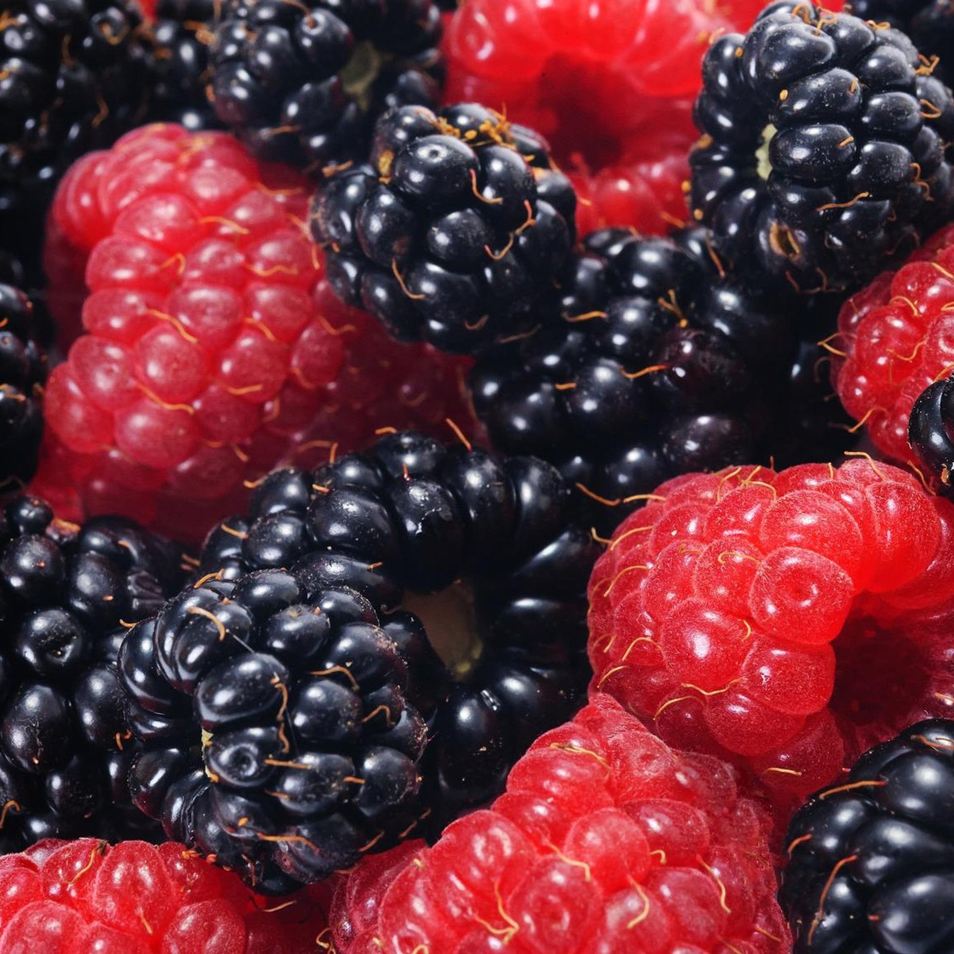  Wild Berries