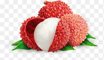 Litchi