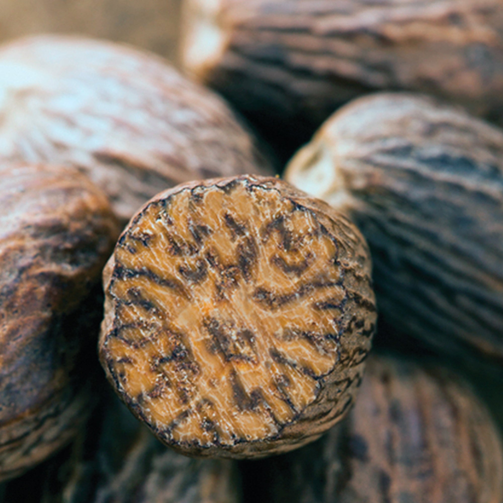 Nutmeg