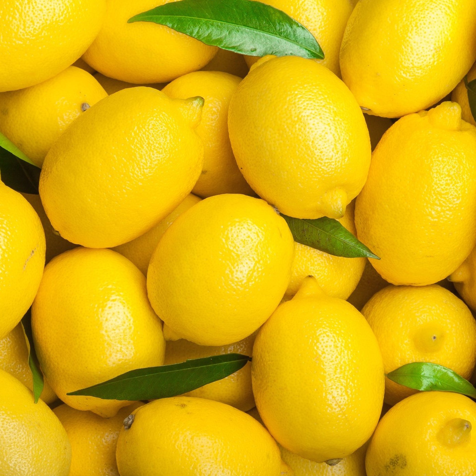 Calabrian Fresh Lemon