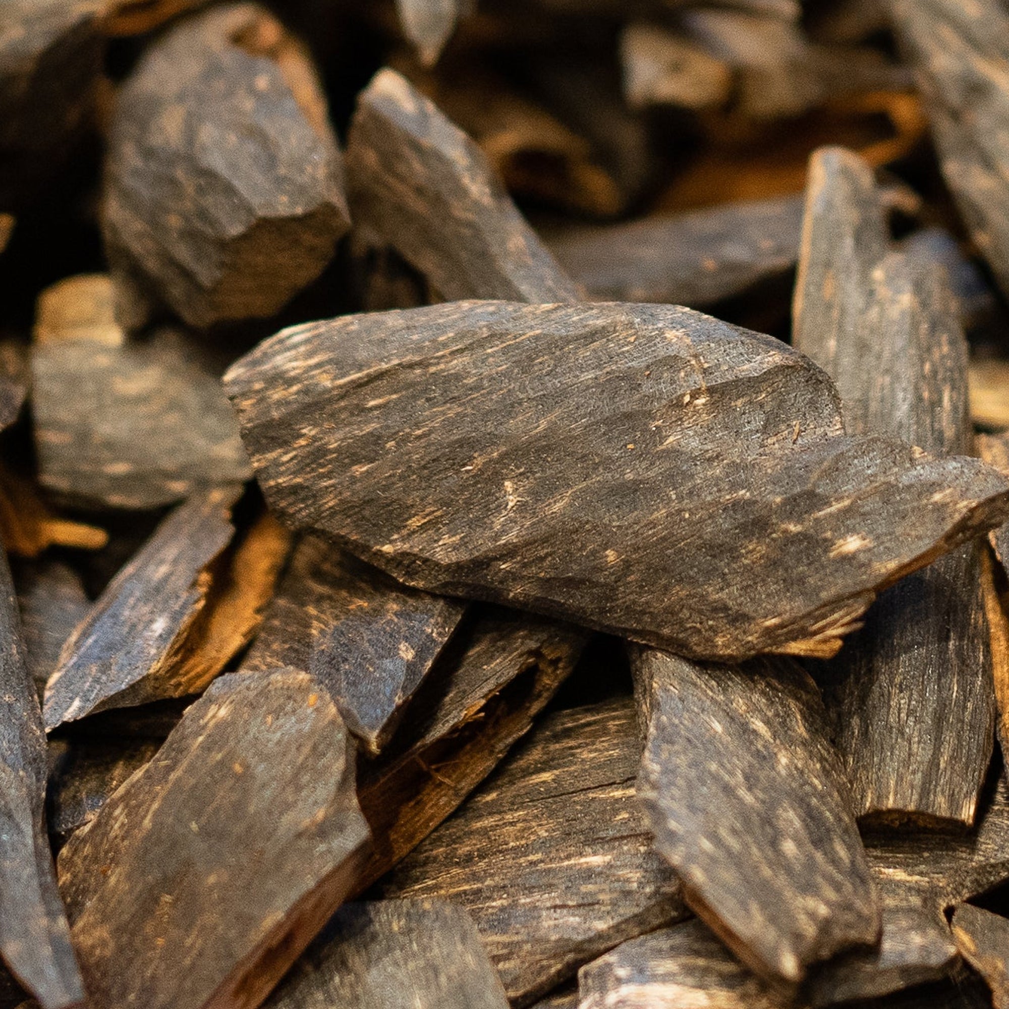 Agarwood