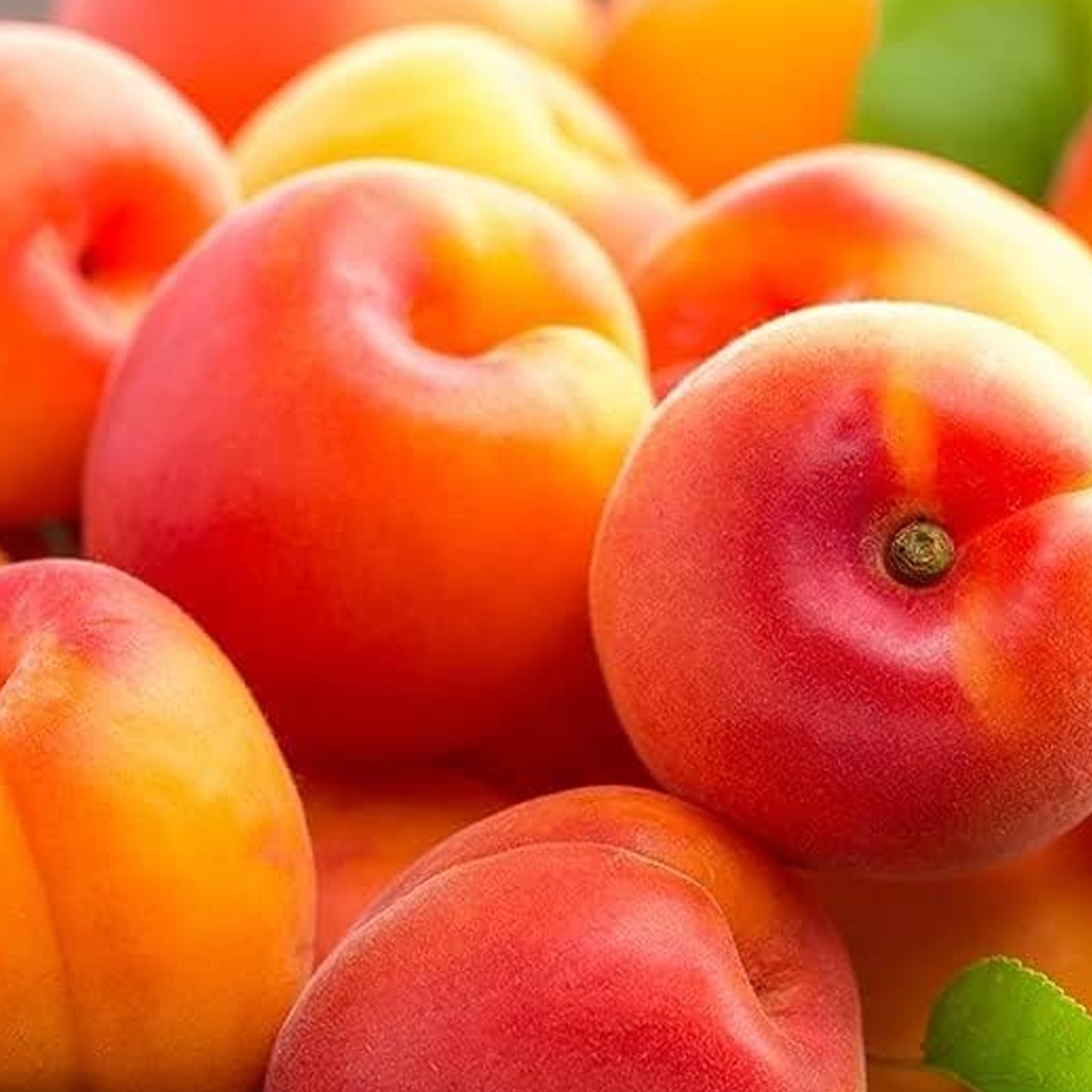  Apricot