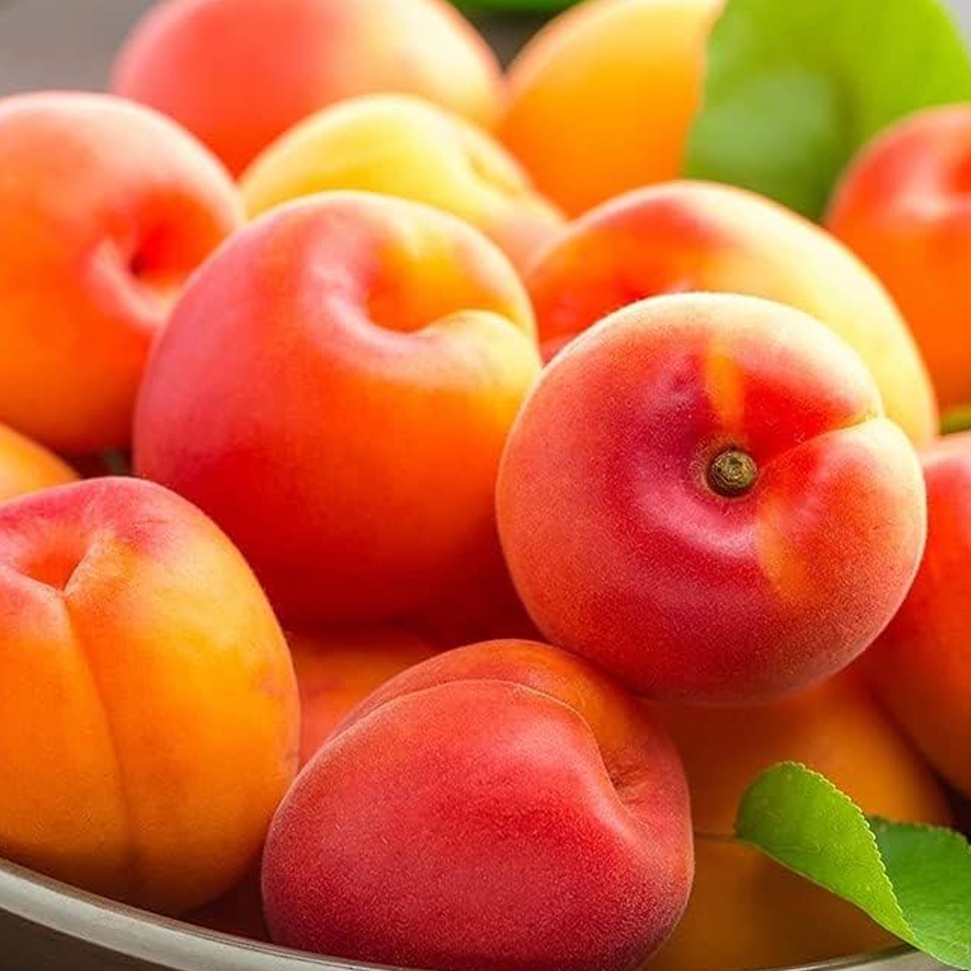 Apricot