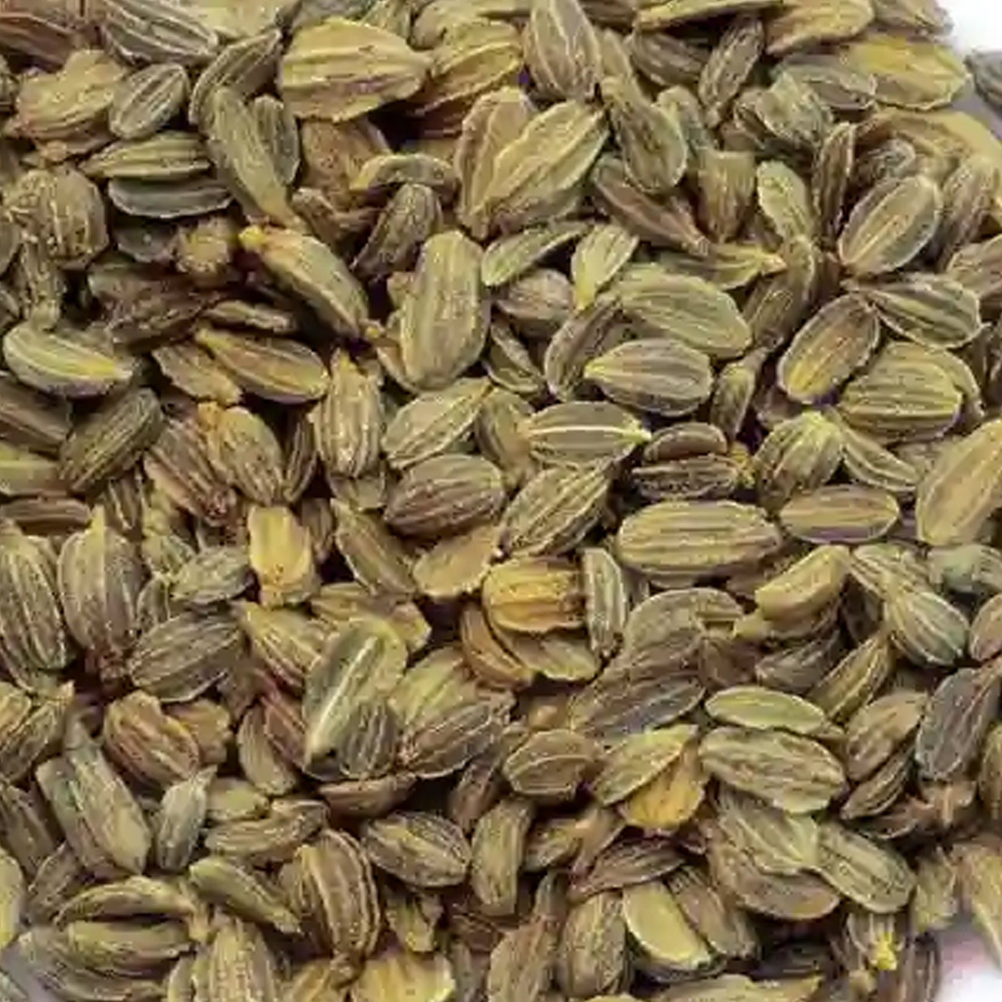 Carrot Seed