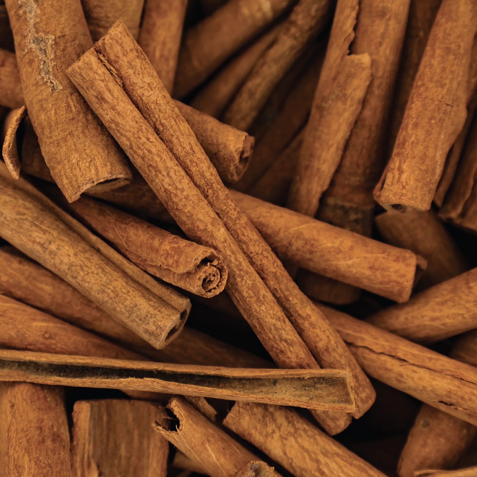 Cinnamon