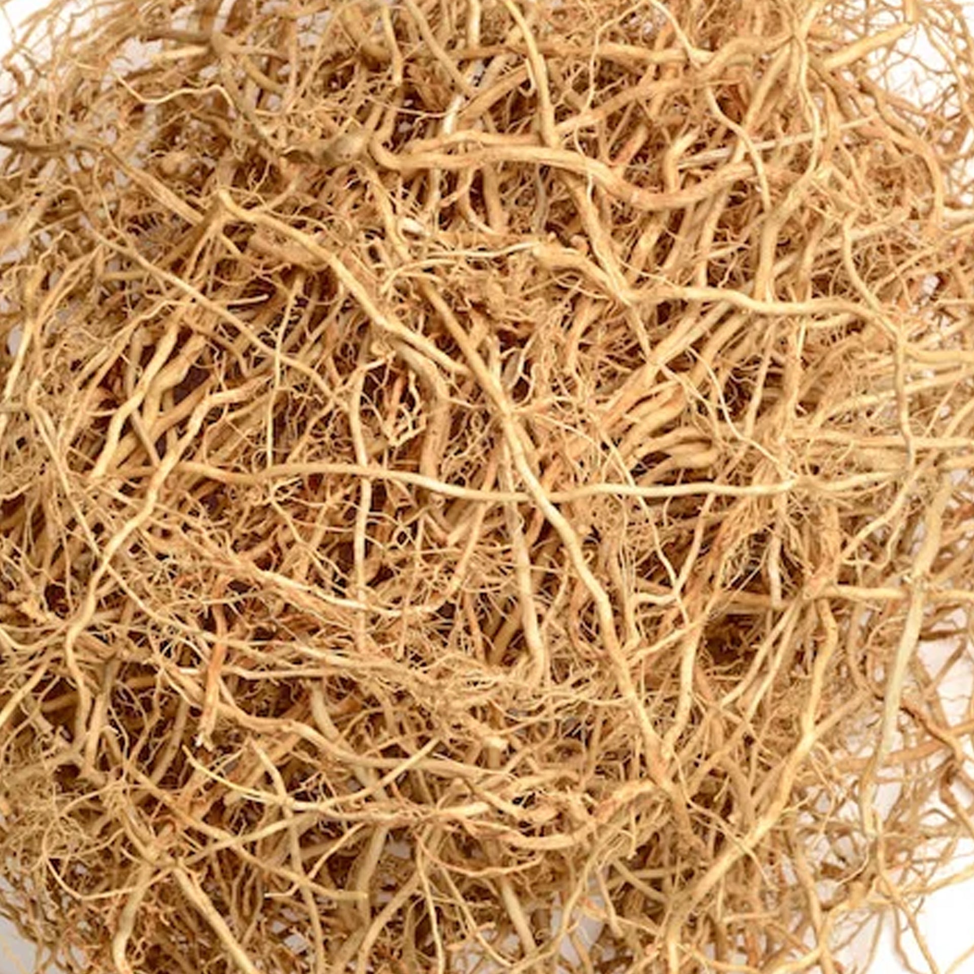Vetiver