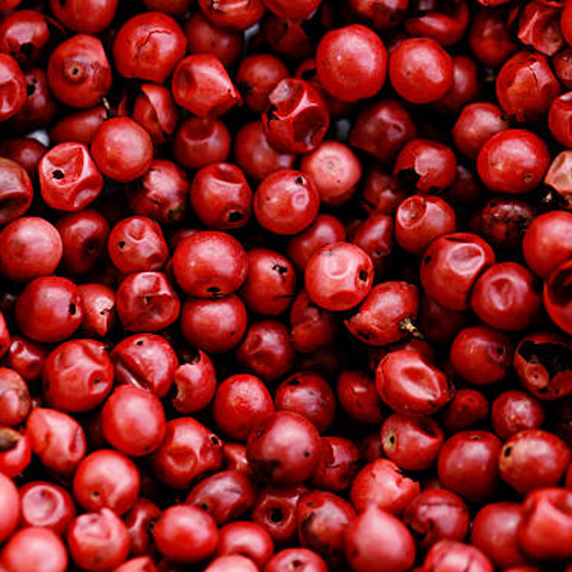 Pepper
