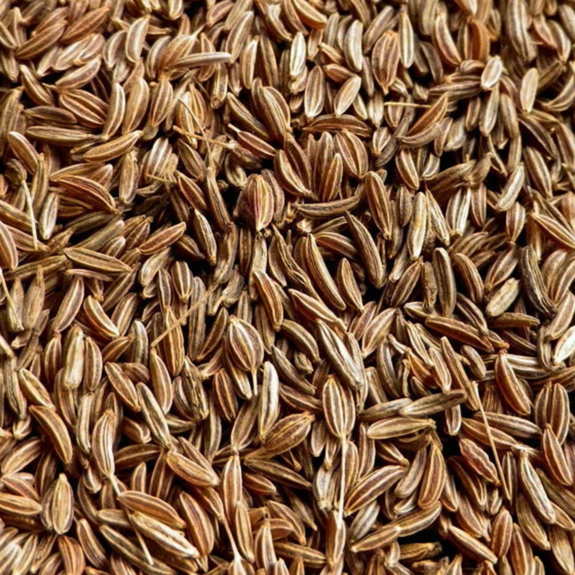 Caraway